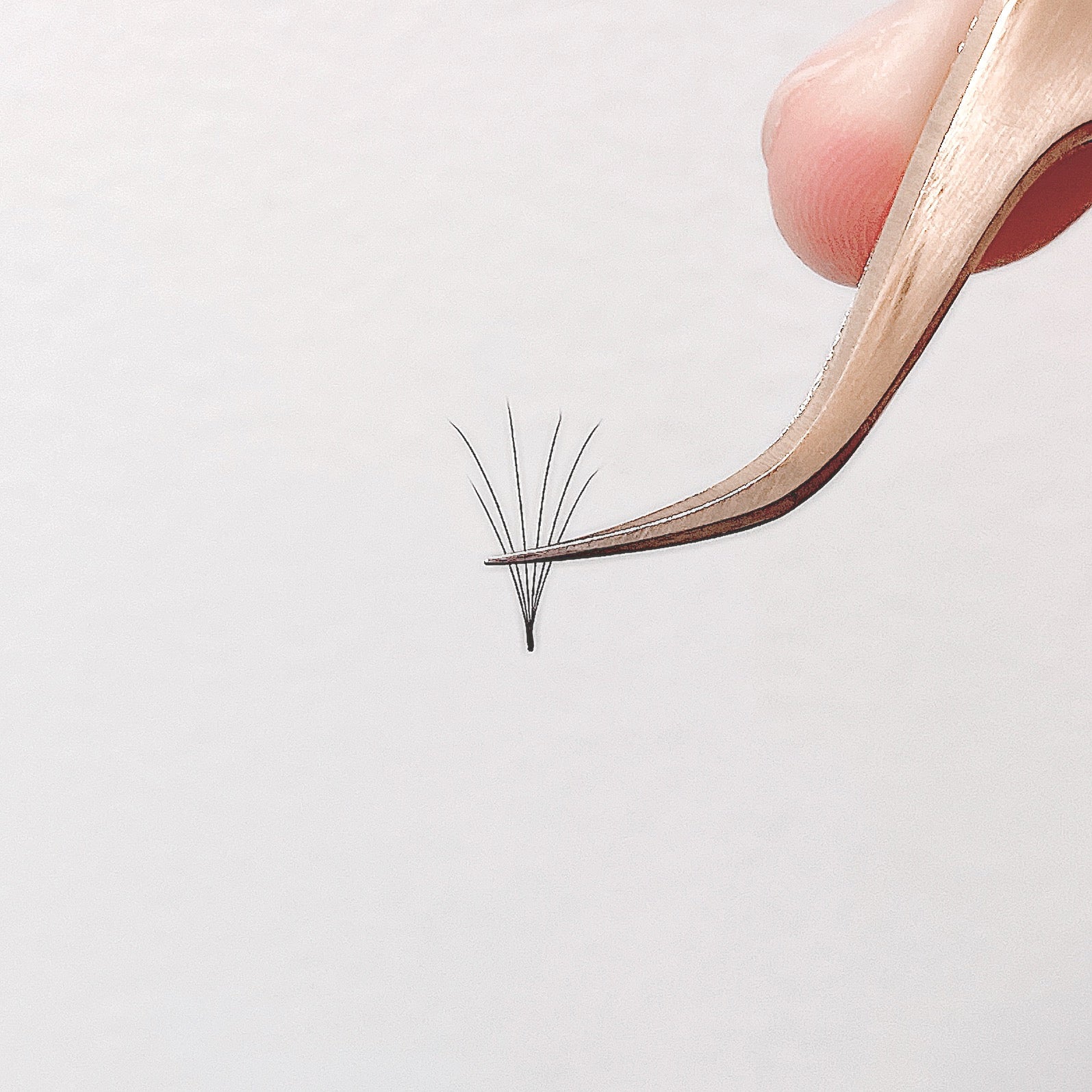 Volume lash - masterclass